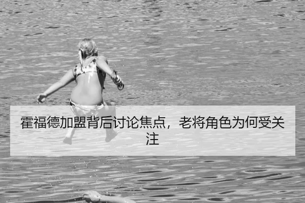 霍福德加盟背后讨论焦点，老将角色为何受关注（YABO）